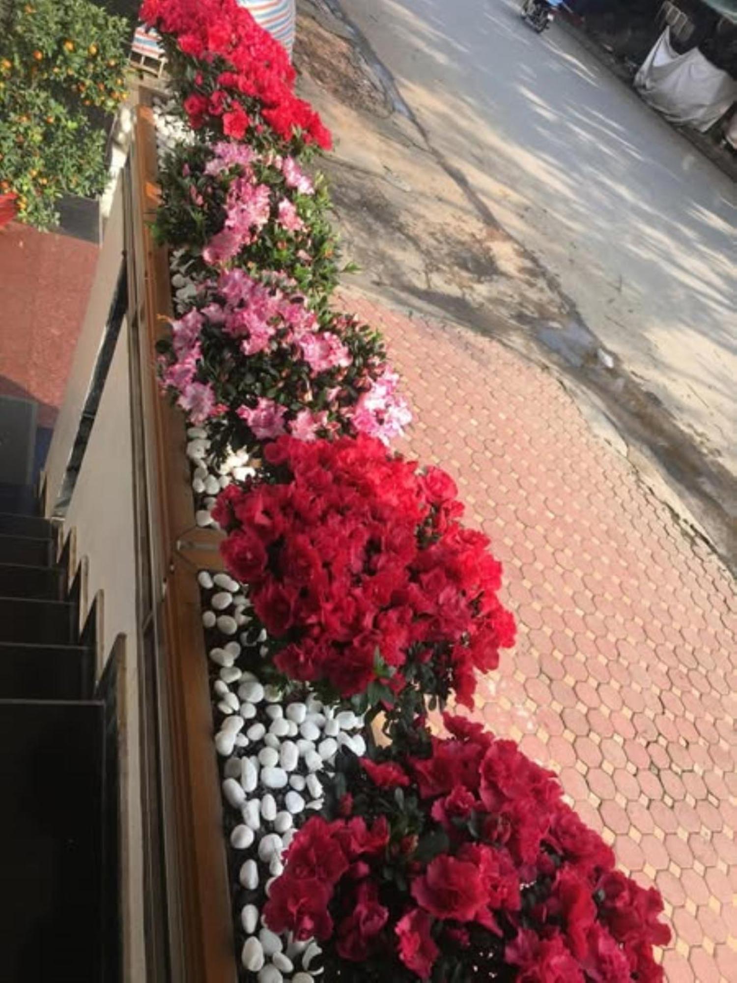 Hoa Viet Hotel Каобанг Екстер'єр фото